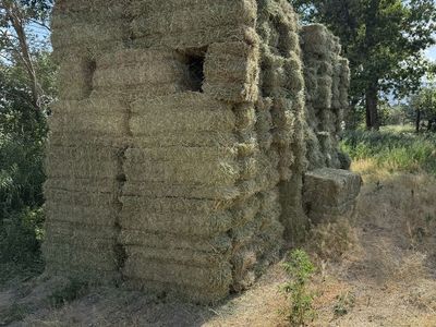 90 bales 1st crop cow hay