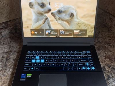 MSI 15 thin B13vf RTX 4060 intel i5 13420h 32gb ram 1tb ssd and windows 11 home