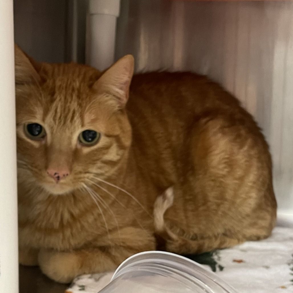 Hello my name is Merci