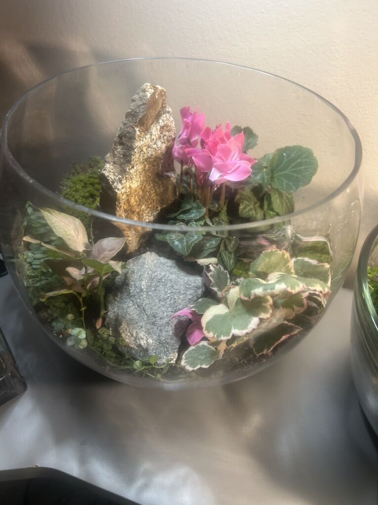 Terrarium