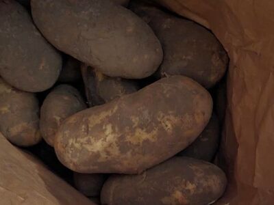 Non-GMO Organic Onions Potatoes Great Food Storage