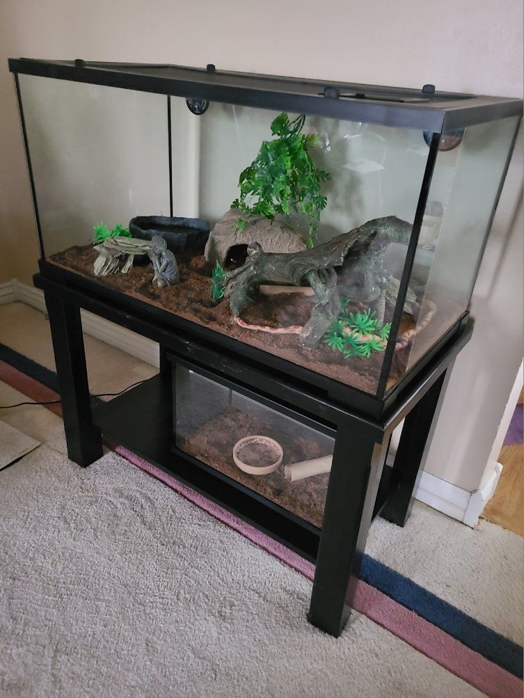 Complete Setup with Corn Snakes & Food