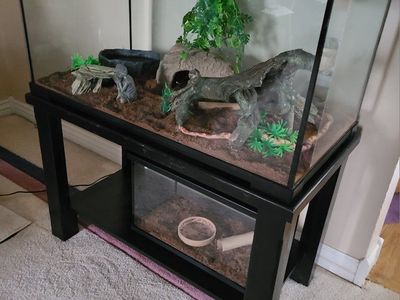 Complete Setup with Corn Snakes & Food