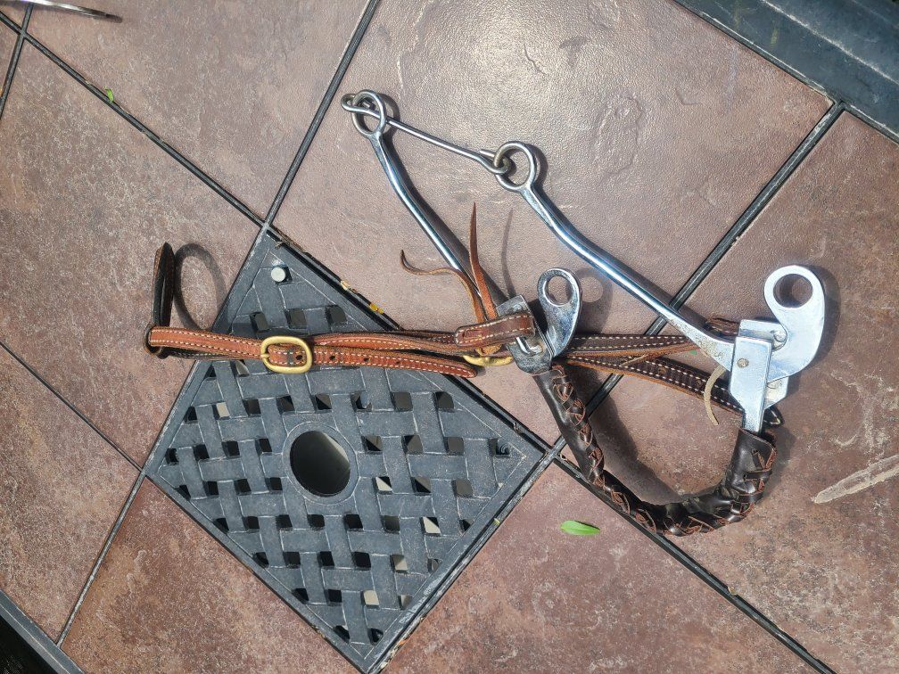 Hackamore bit with, with leather nose band