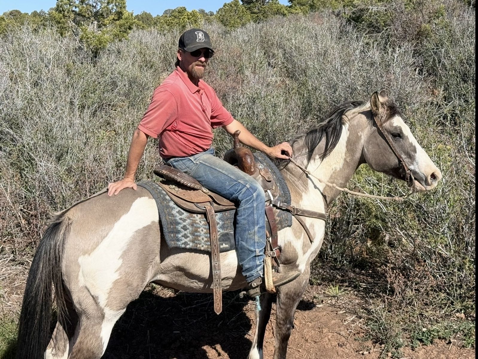 Very sweet grulla paint!