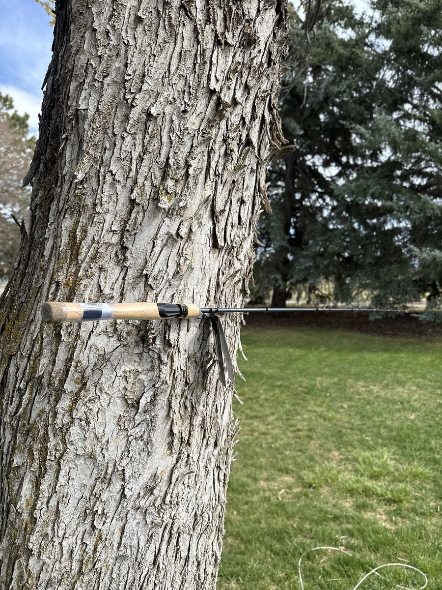 Pflueger President Spinning rod ultra light 5’6”