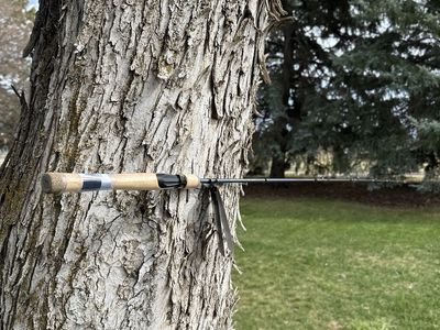 Pflueger President Spinning rod ultra light 5’6”