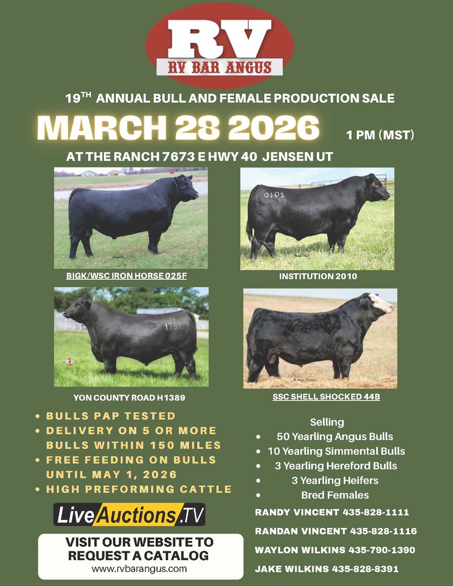 RV Bar Angus Ranch 19th Bull and Female Sale March 28, 2026.