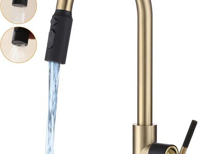 RALANDA Black and Gold Kitchen Faucet,Stainless Steel Faucet for Kitchen Sink with Pull Down Sprayer $30