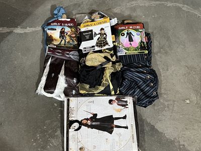 NEW: Astrid, Elphaba, Spiderella, Hermione Halloween Costumes