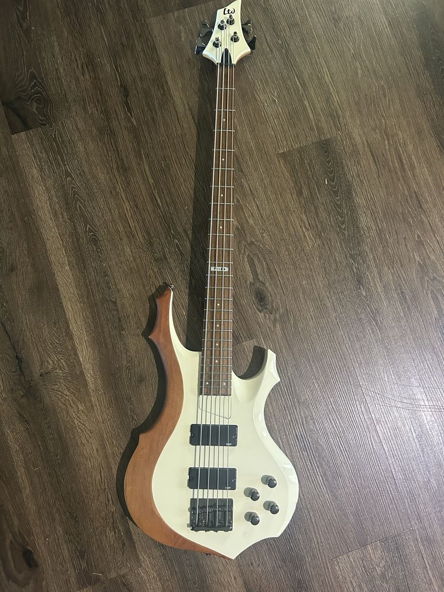 Custom ESP LTD 104 bass guitar
