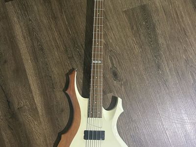 Custom ESP LTD 104 bass guitar