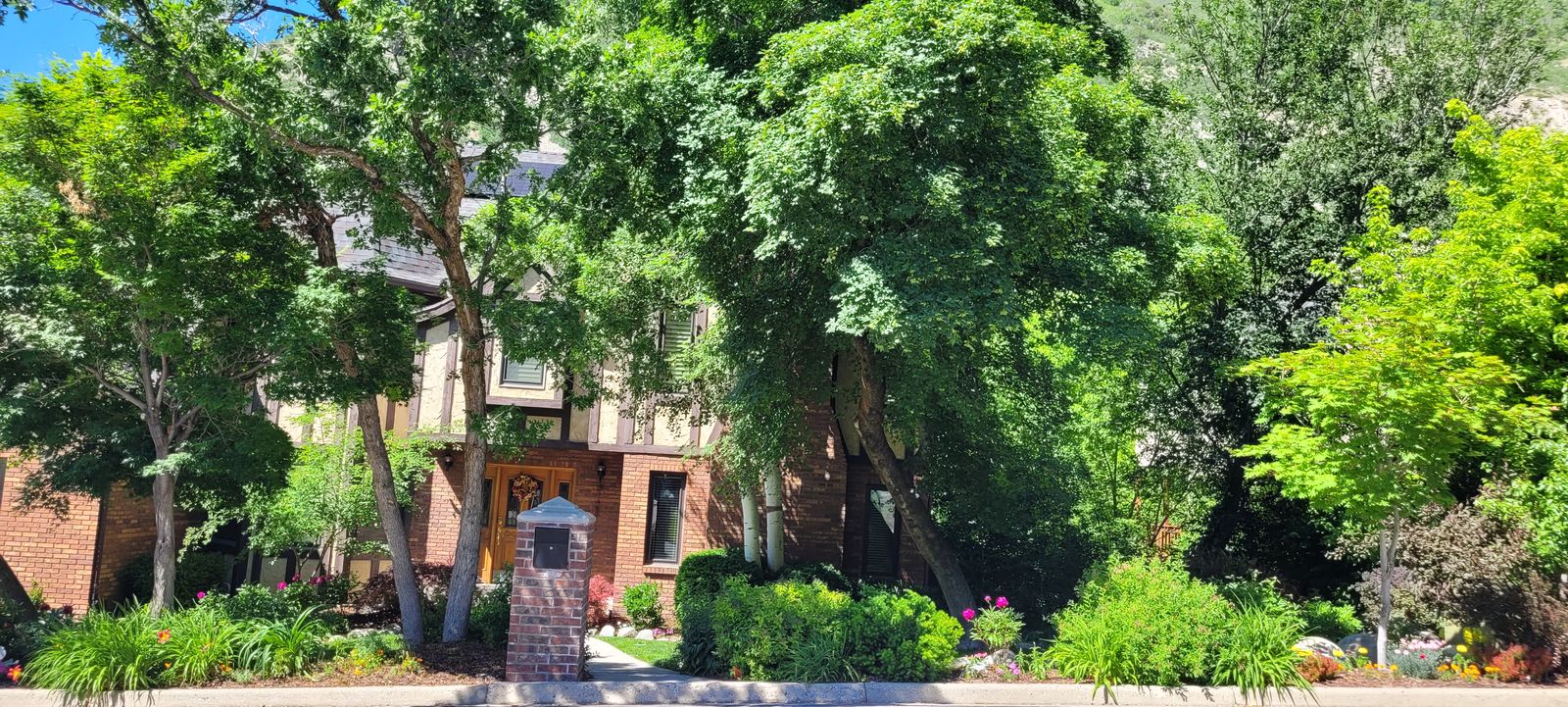 Live in stunning Little Cottonwood Canyon.  Safe and friendly neighborhood with great hiking, biking and skiing minutes away!