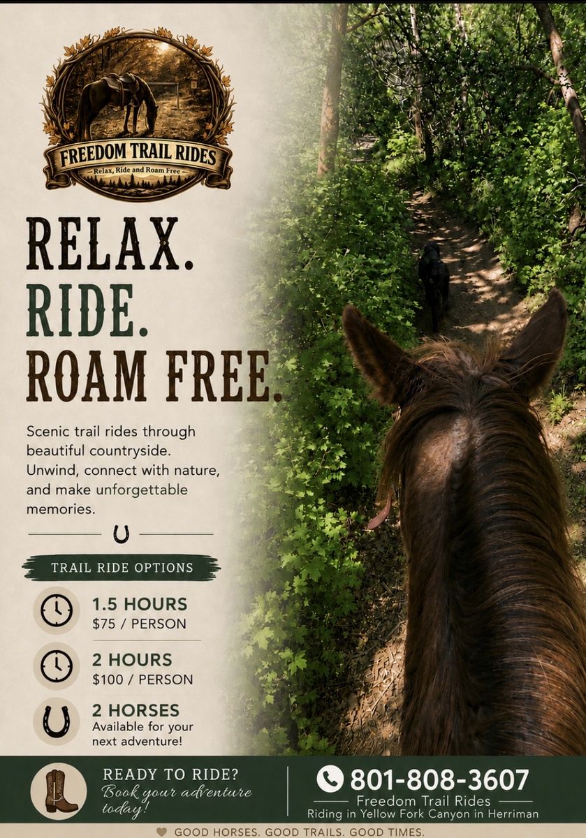 Horseback Trail Rides
