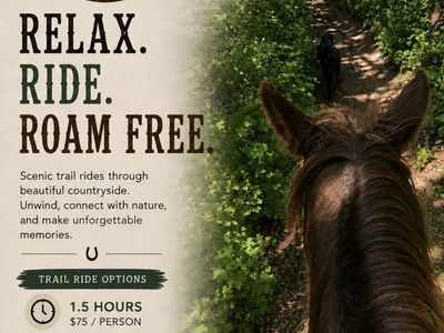 Horseback Trail Rides