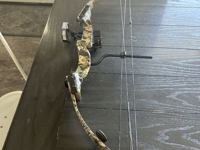 Hoyt Banshee Compound Bow