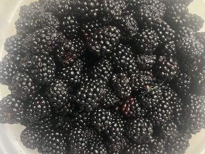 Blackberries