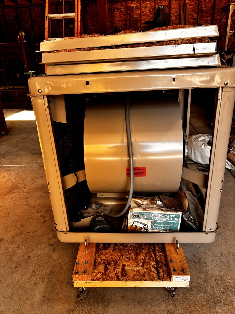Main image 6
