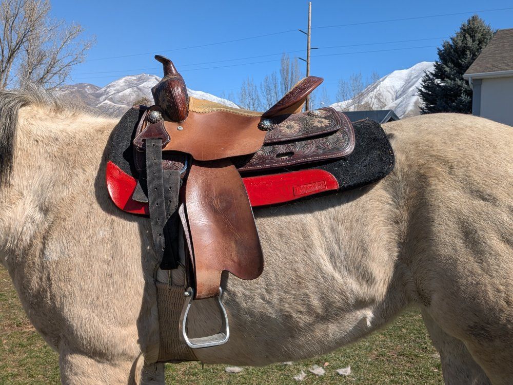15" barrel/ all around saddle