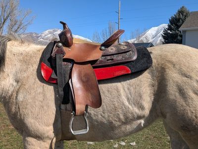 15" barrel/ all around saddle