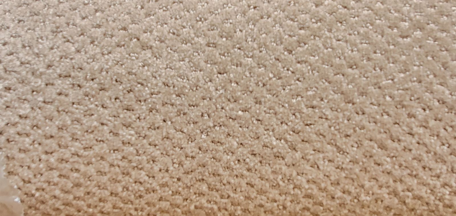 WEYF Bound Berm Assorted Earthetones Carpet Flooring, New, Single Pack 8x 10ft