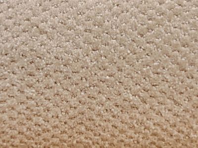 WEYF Bound Berm Assorted Earthetones Carpet Flooring, New, Single Pack 8x 10ft