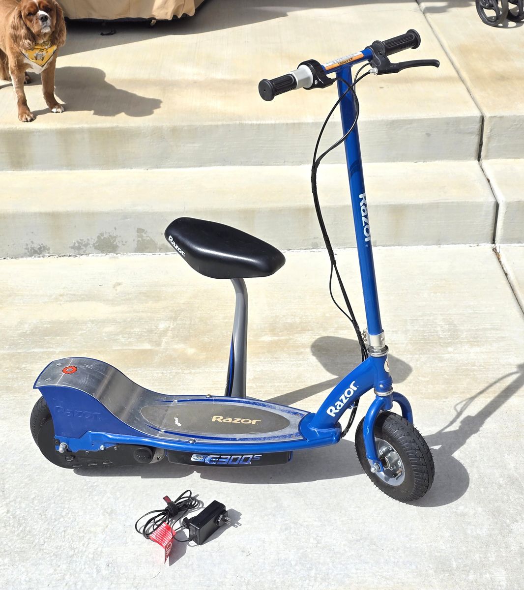Razor E300 Electric Scooter