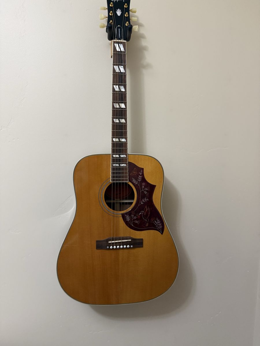 Hummingbird IBG acoustic electric Guitar