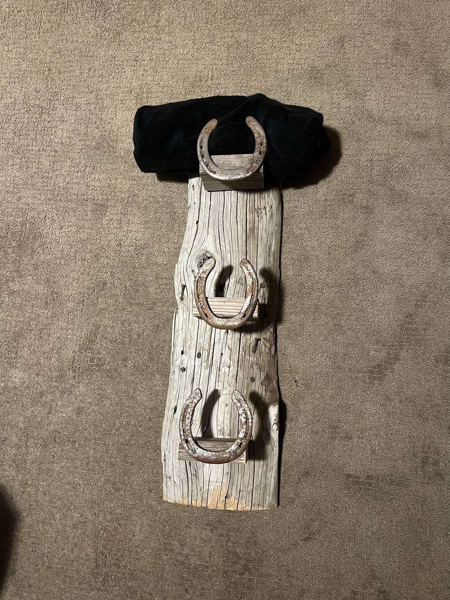 Horseshoe Towel Rack