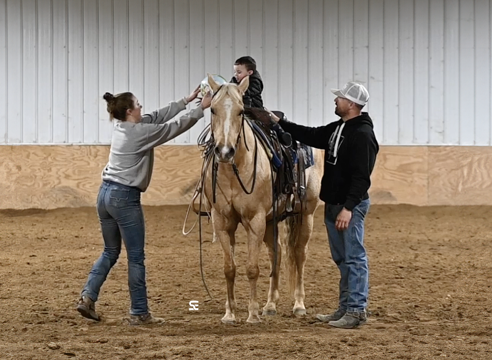 𝗙𝗔𝗠𝗜𝗟𝗬 𝗦𝗔𝗙𝗘 𝗣𝗮𝗹𝗼𝗺𝗶𝗻𝗼 𝗺𝗮𝗿𝗲 | 𝗢𝗻𝗲-𝗜𝗻-𝗔-𝗠𝗶𝗹𝗹𝗶𝗼𝗻