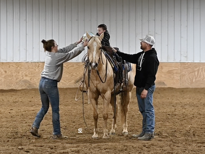 𝗙𝗔𝗠𝗜𝗟𝗬 𝗦𝗔𝗙𝗘 𝗣𝗮𝗹𝗼𝗺𝗶𝗻𝗼 𝗺𝗮𝗿𝗲 | 𝗢𝗻𝗲-𝗜𝗻-𝗔-𝗠𝗶𝗹𝗹𝗶𝗼𝗻