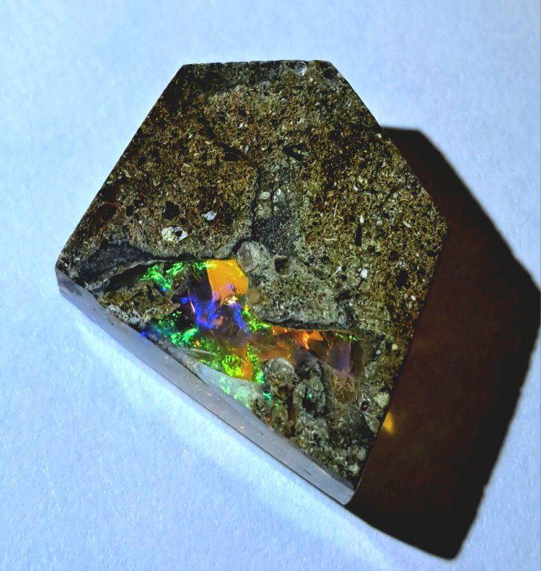 Main image 5