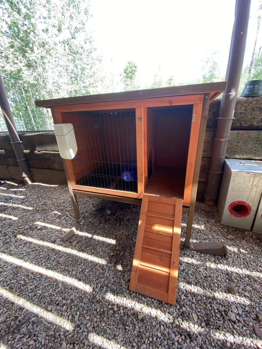 Rabbit Hutch