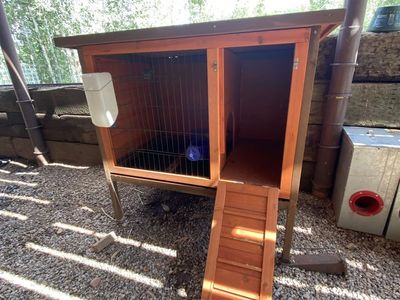 Rabbit Hutch
