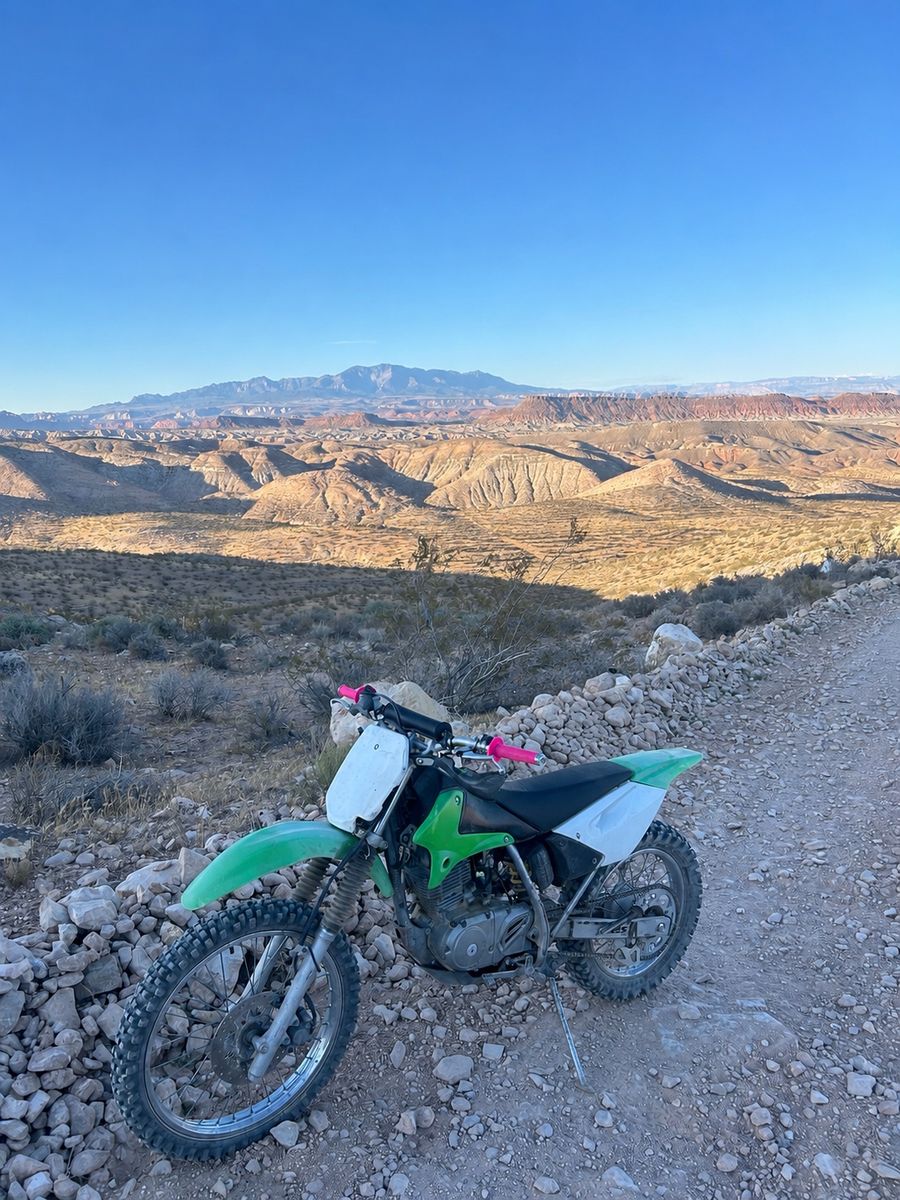 2003 KLX/DRZ-125L