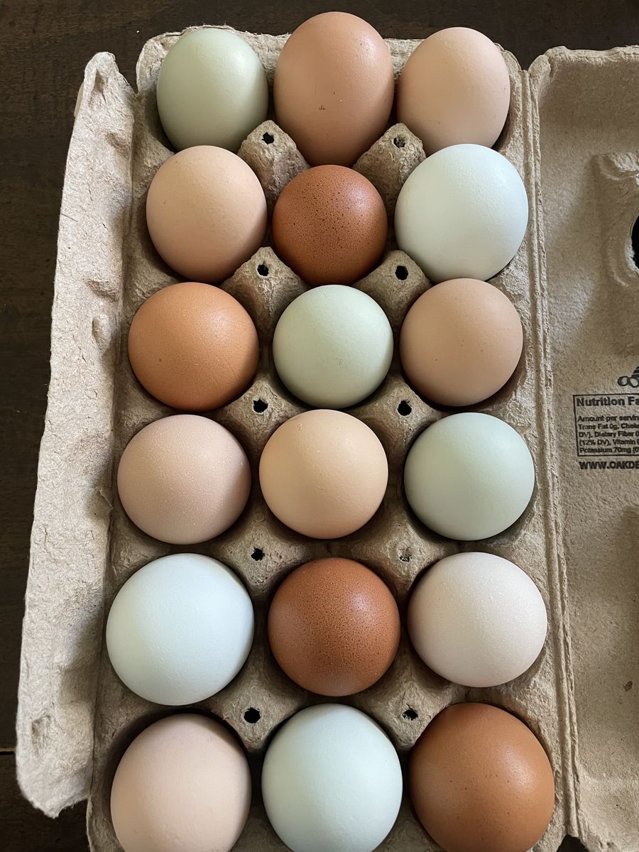 Farm Fresh Eggs From Pasture RaIsed Chickens