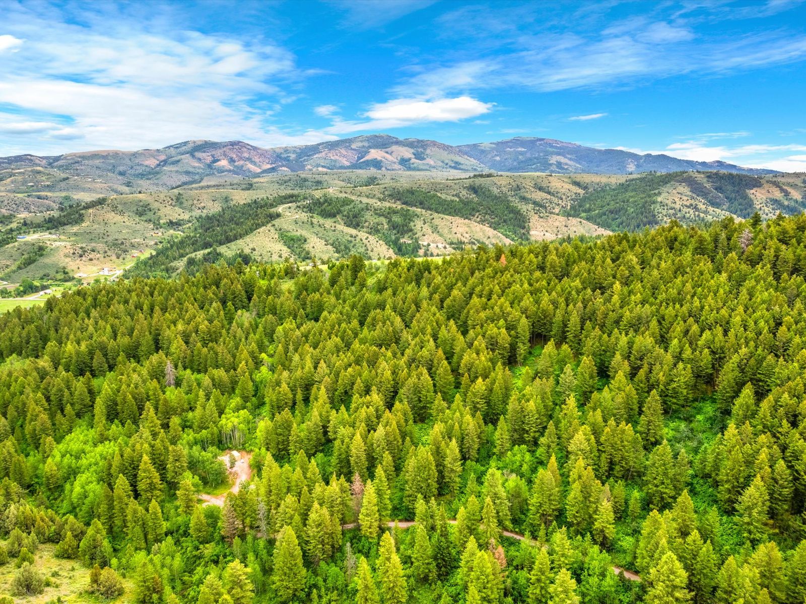 6.5 Acre Forested Lot in Lava Hot Springs, Idaho