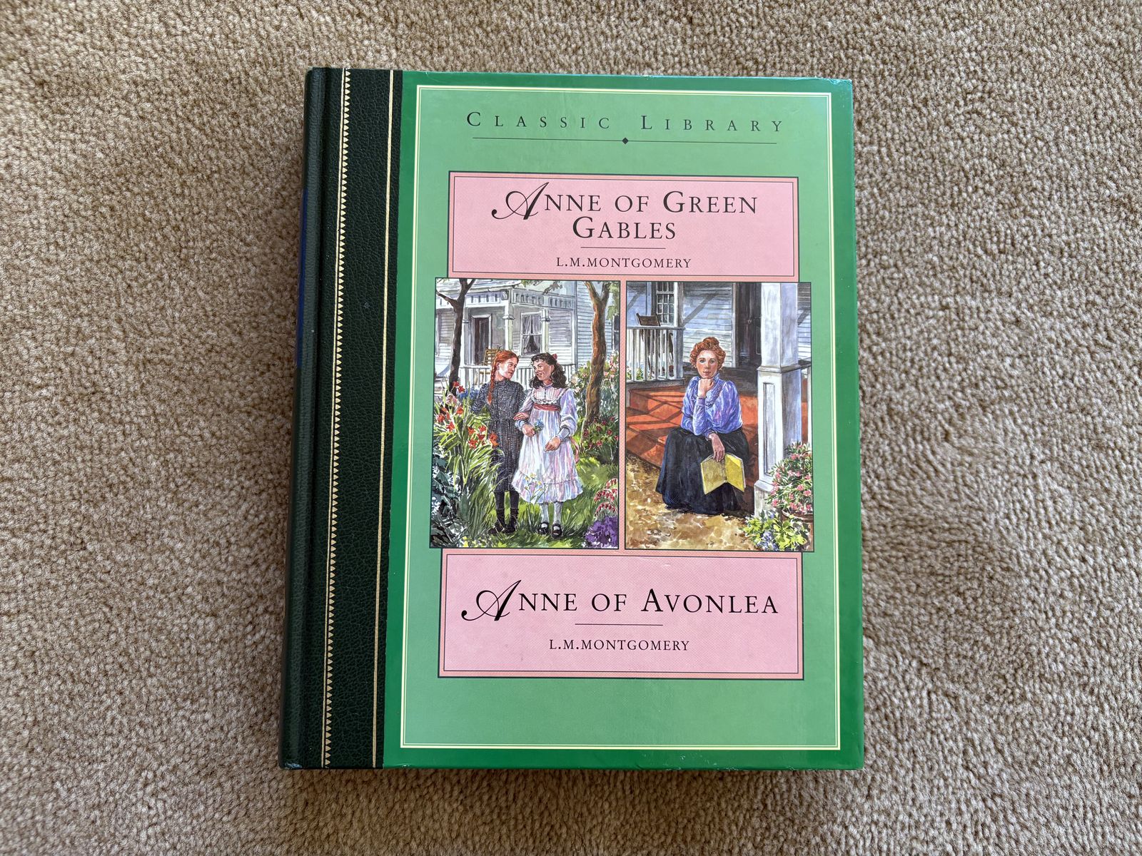 Illustrated Anne of Green Gables, Anne of Avonlea, by Montgomery/Palmer