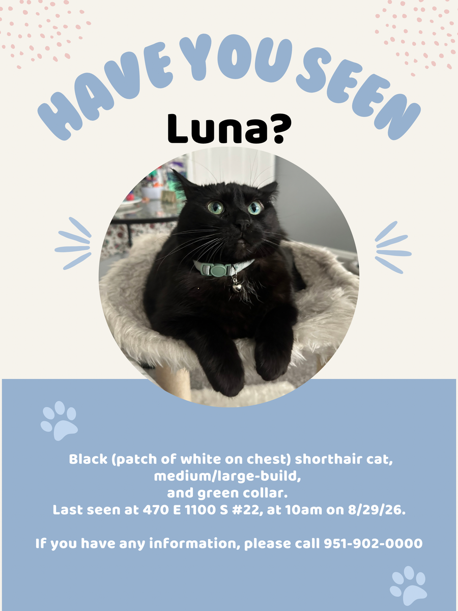 LOST CAT