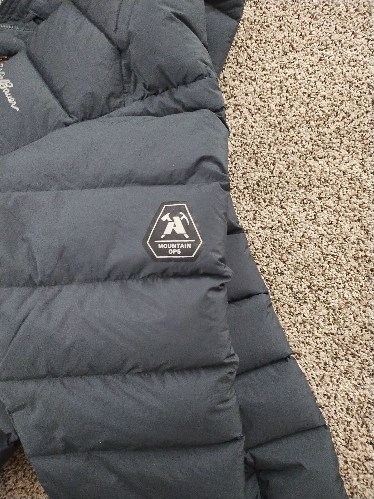 Brand New Eddie Bauer Free Fuse Technical 800 Down Jacket