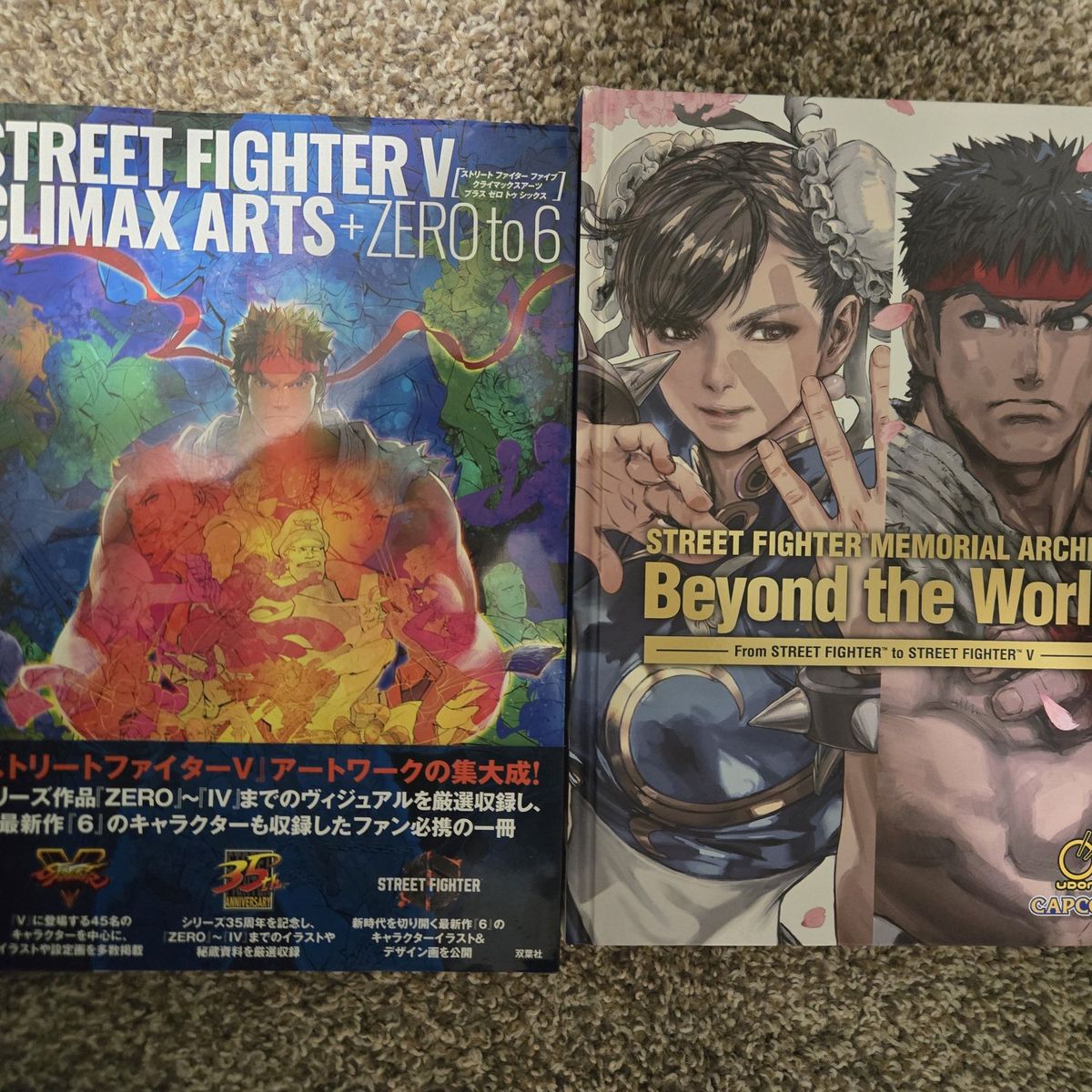 Art Books - Street Fighter