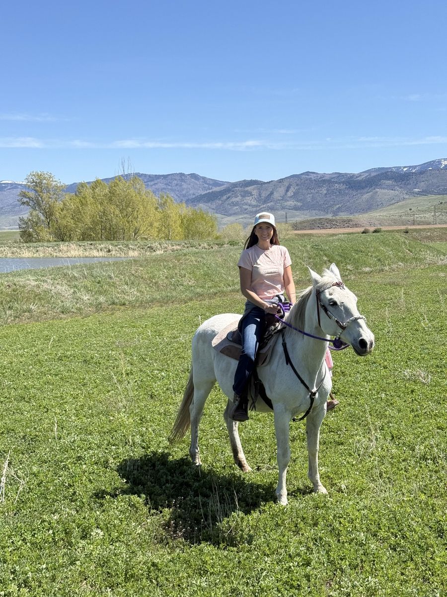 In search of horse job