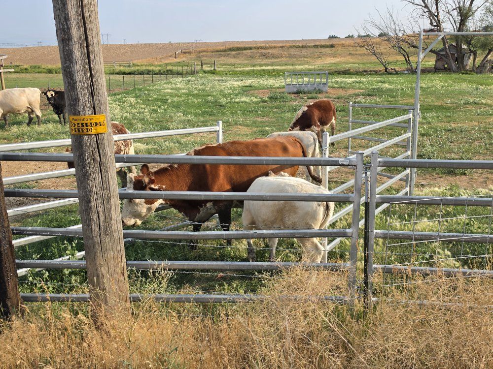 small herd 