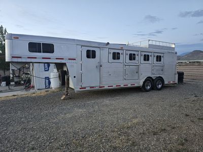 1994 Horse 4 Star