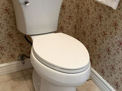 Extra Tall - KOHLER Highline Arc Elongated Toilet