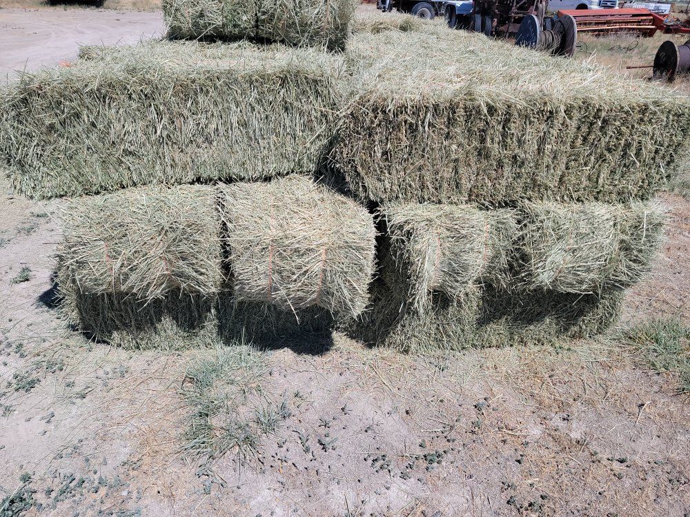 Grass/Alfalfa Mix Small Bales