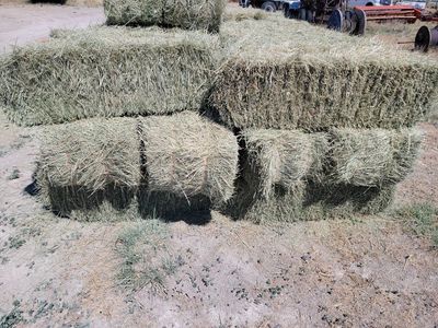 Grass/Alfalfa Mix Small Bales