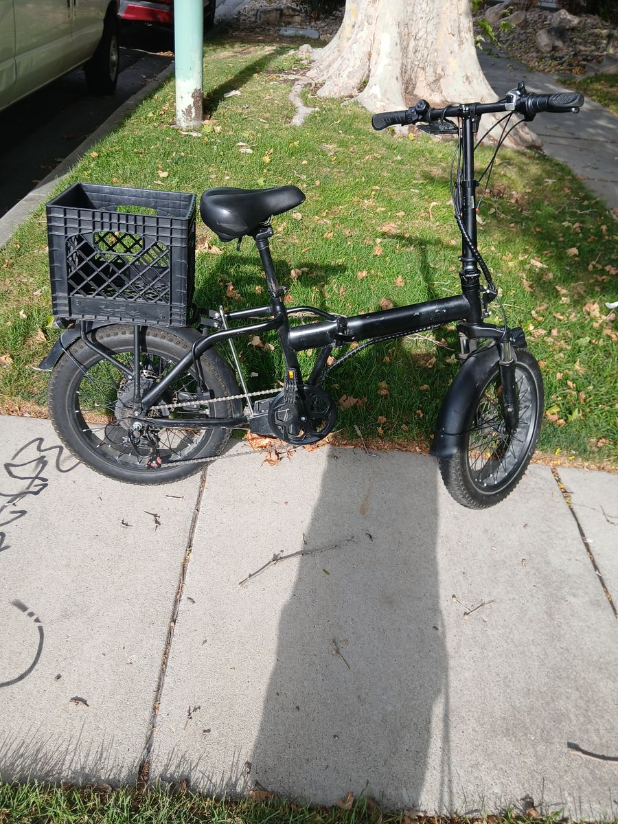 1 year old E Bike