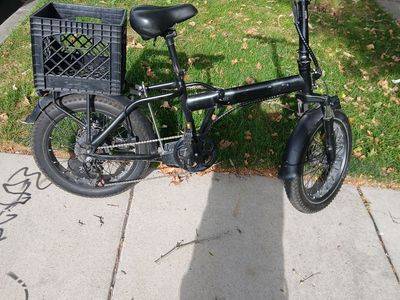 1 year old E Bike