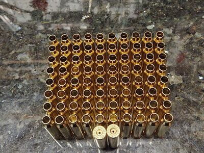 .300Win Mag Brass Nosler/Hornady HS